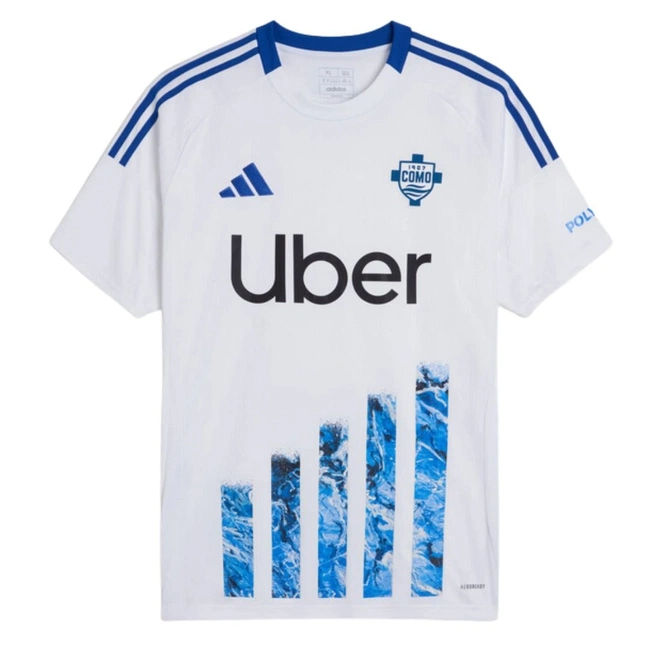 cover of the auction item