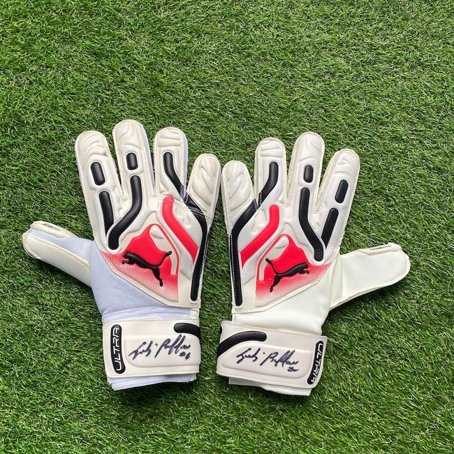 cover of the auction item