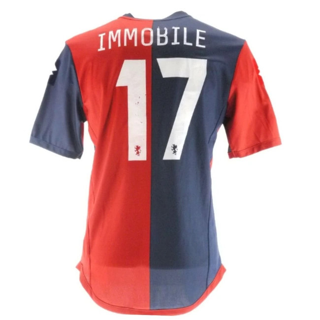 cover image of the auction item