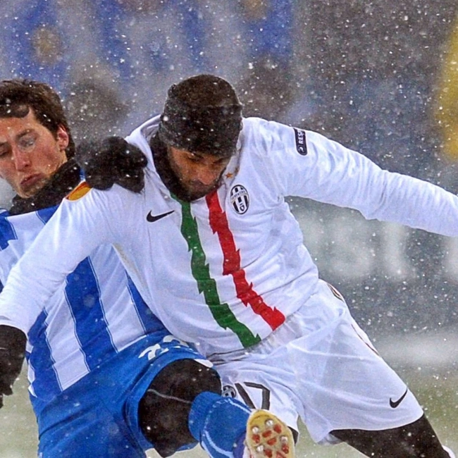 cover of the auction item