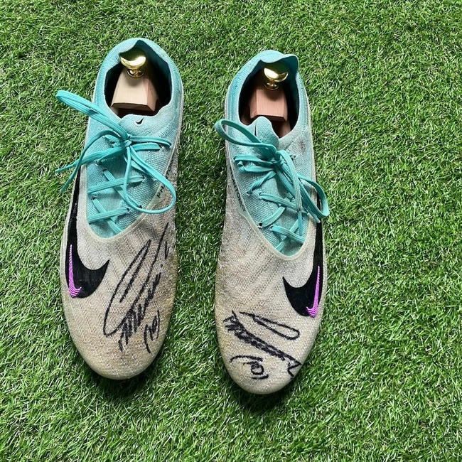 cover image of the auction item