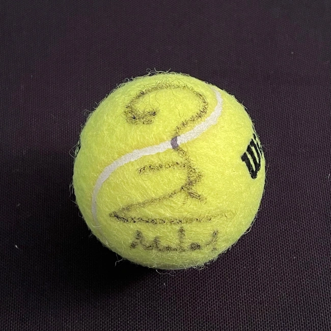 cover image of the auction item