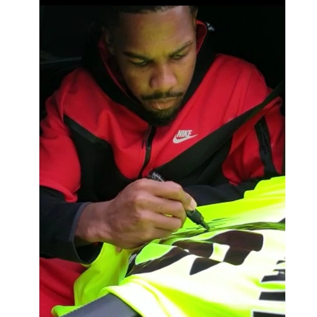 cover image of the auction item