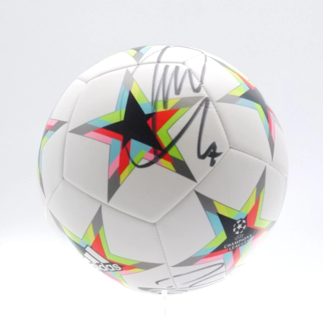 cover image of the auction item