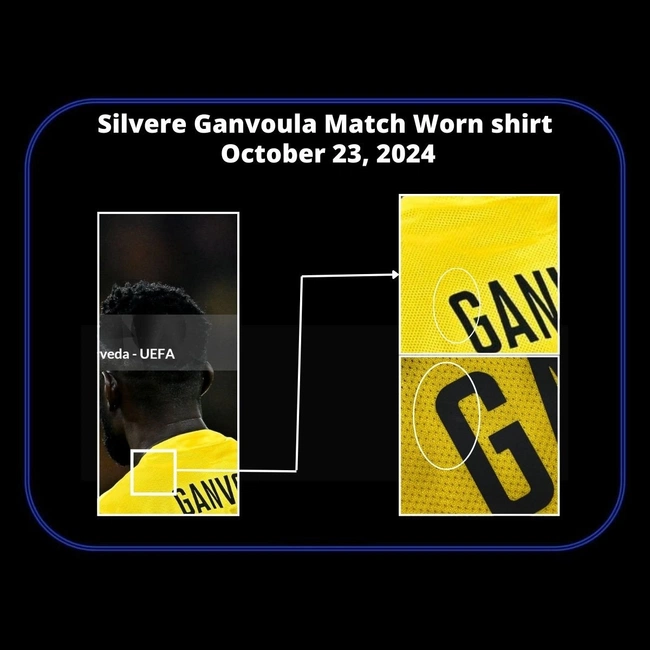 cover of the auction item