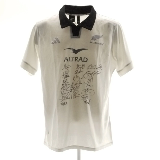 cover image of the auction item