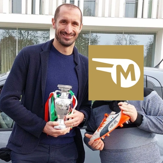 cover of the auction item