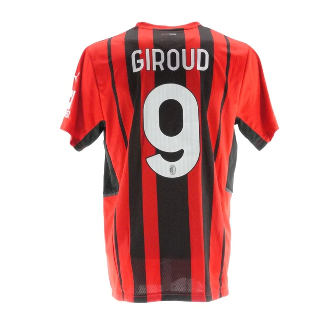 cover of the auction item