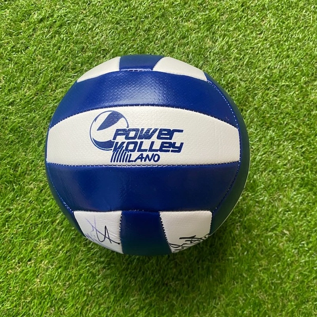 cover of the auction item