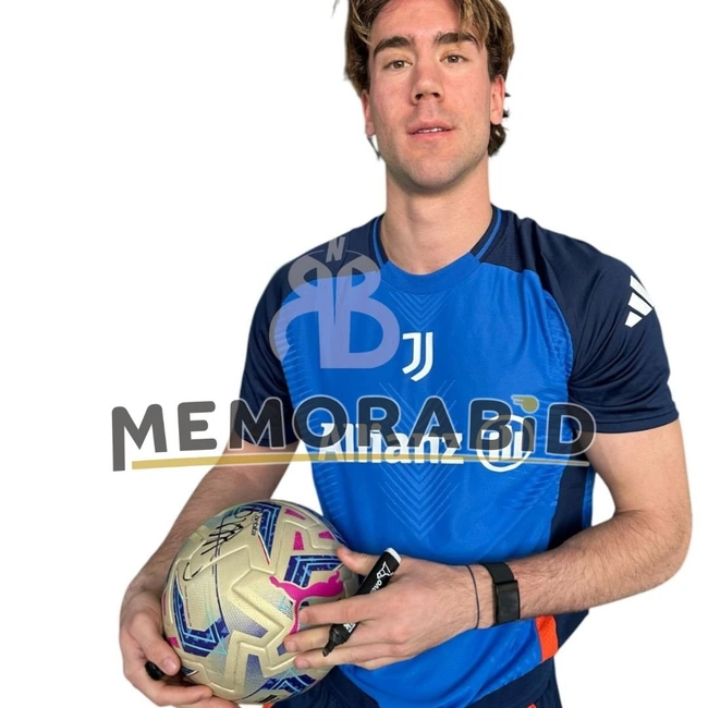 cover of the auction item