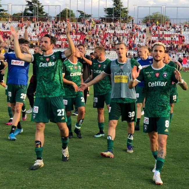 cover of the auction item