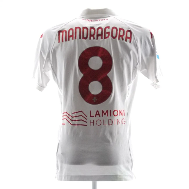 cover of the auction item