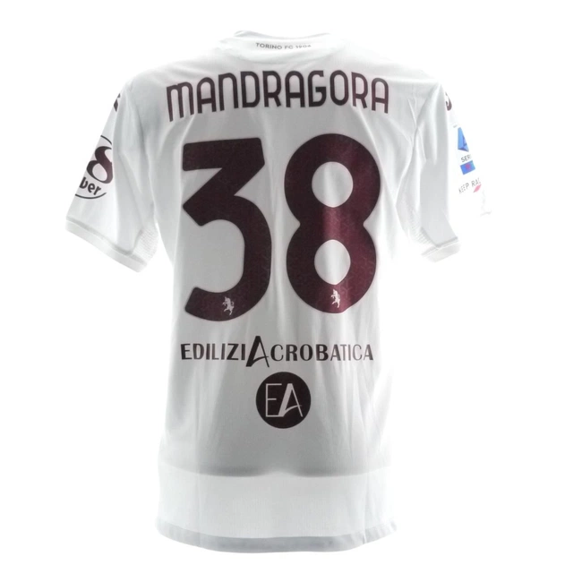 cover of the auction item