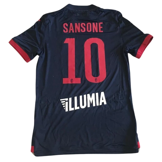 cover of the auction item