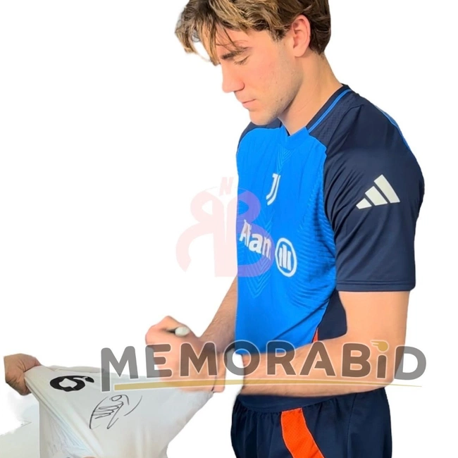 cover of the auction item