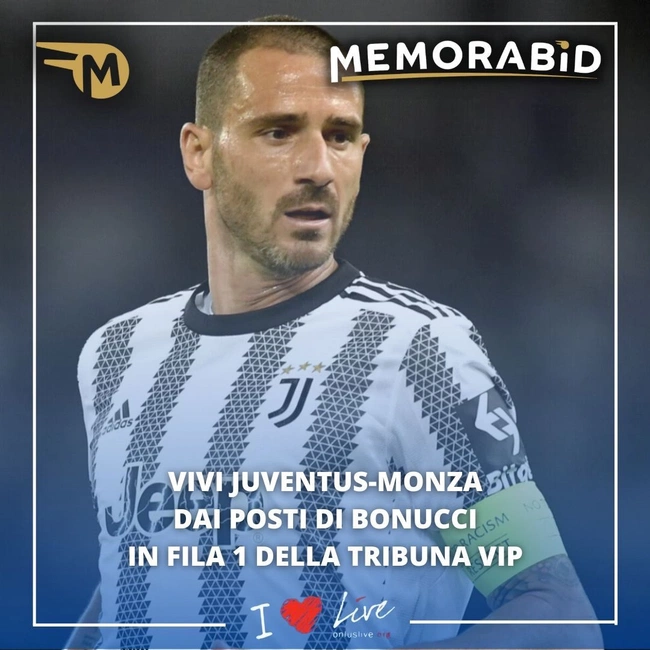 cover image of the auction item