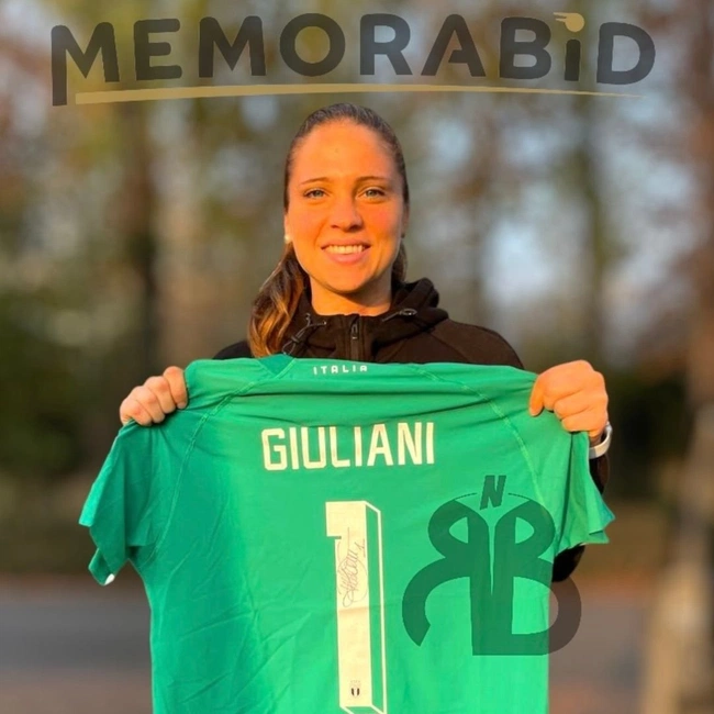 cover image of the auction item