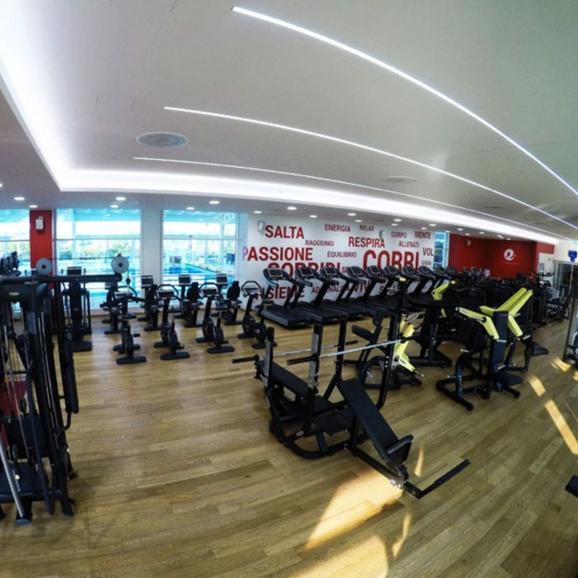 cover of the auction item