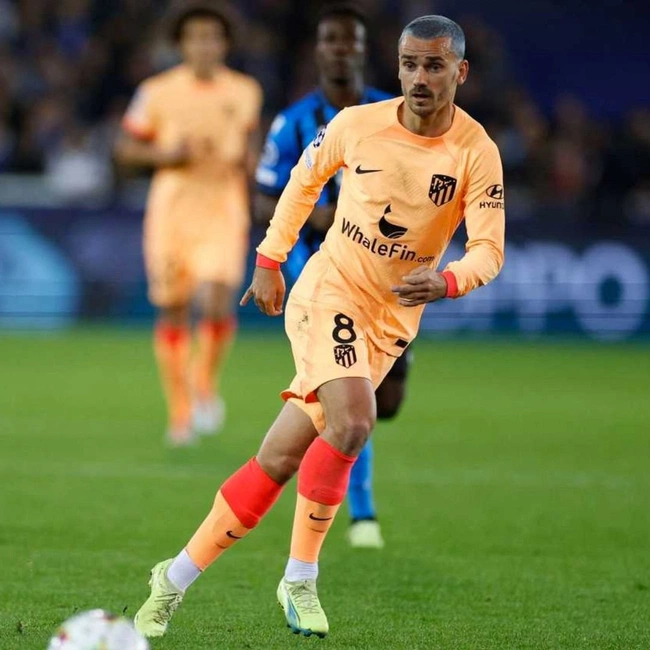 cover image of the auction item