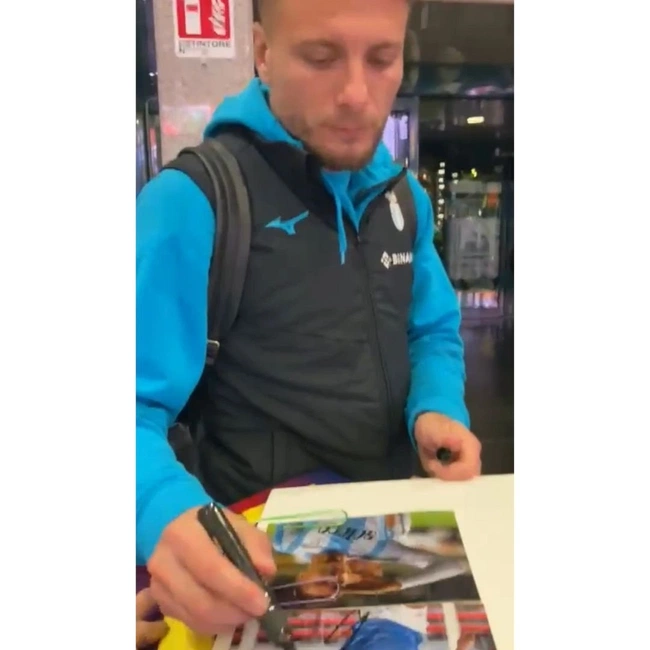 cover image of the auction item