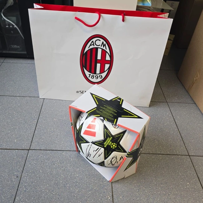 cover image of the auction item