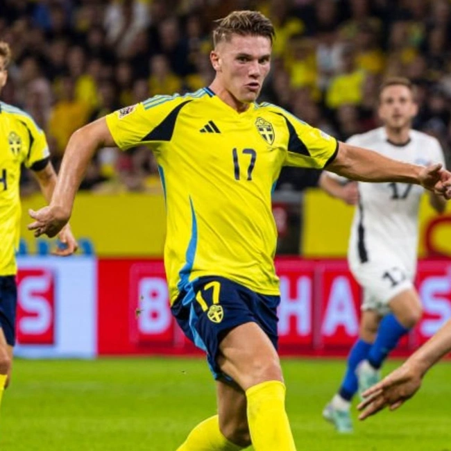 cover of the auction item