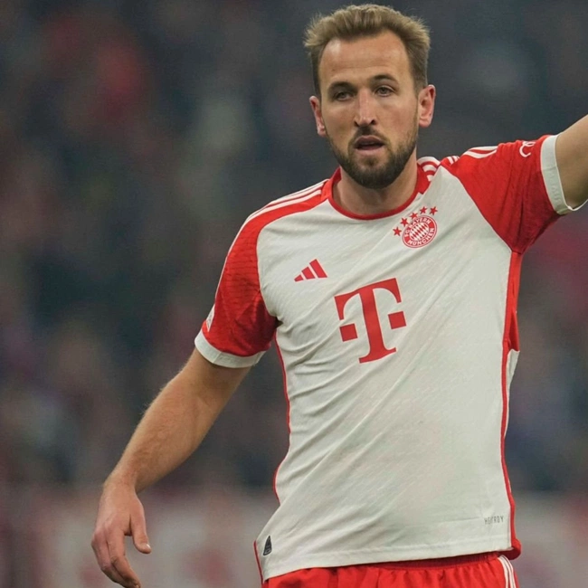 cover of the auction item