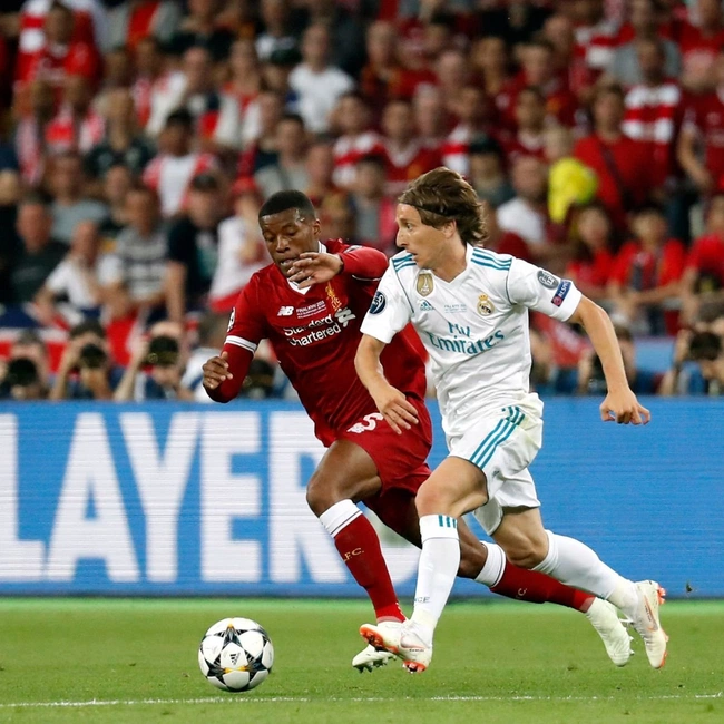 cover of the auction item