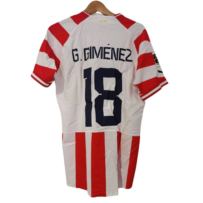 cover of the auction item