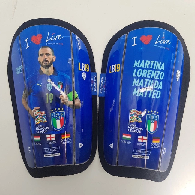 cover of the auction item