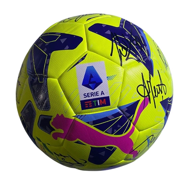 cover image of the auction item