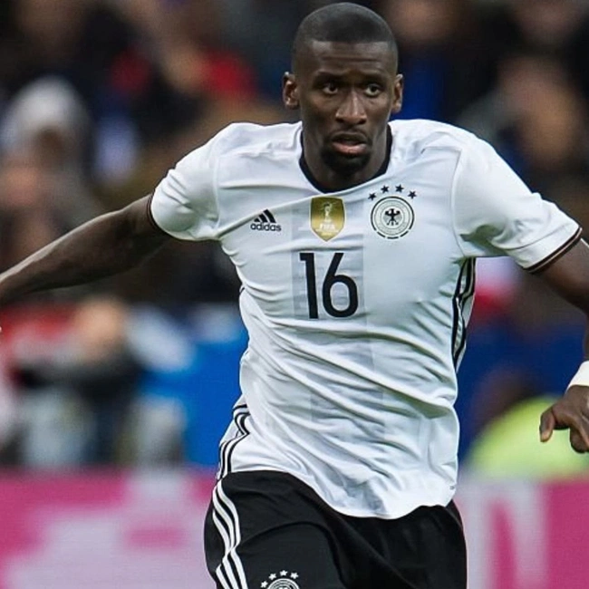 cover of the auction item