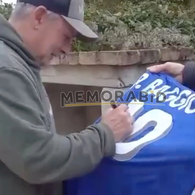 cover image of the auction item