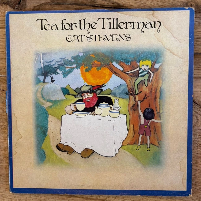 cover of the auction item