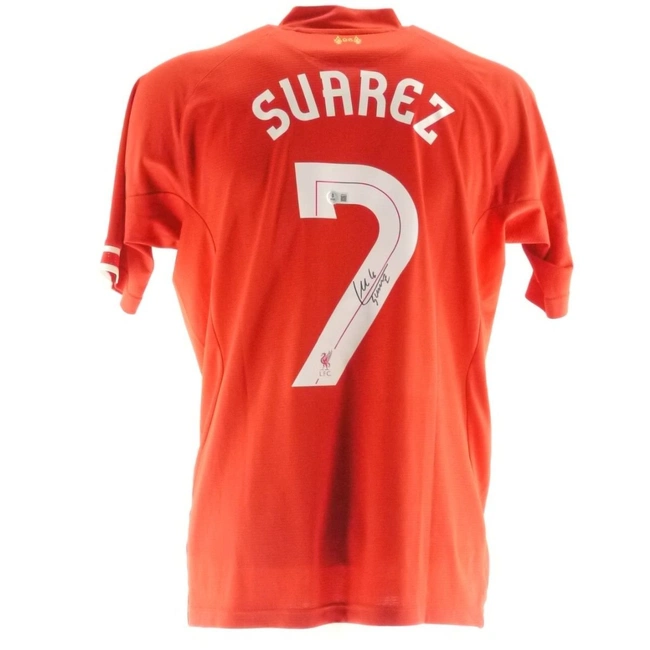 cover image of the auction item