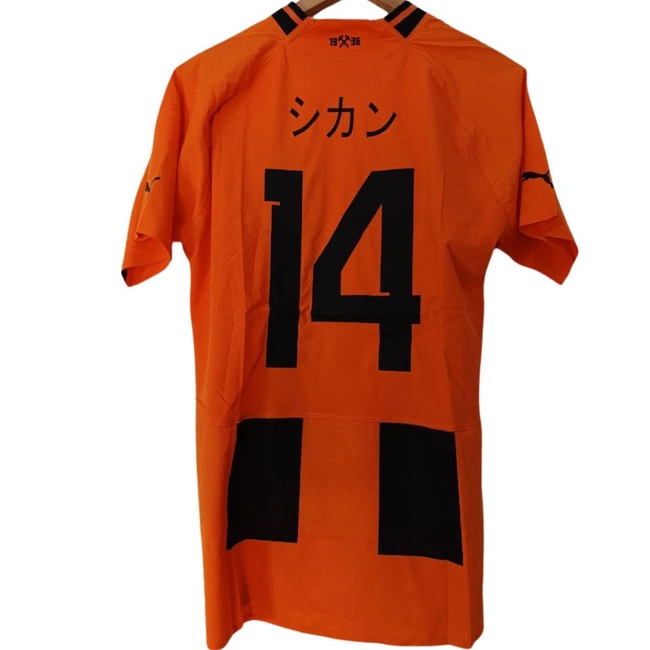 cover of the auction item