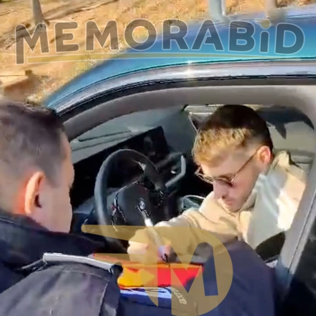 cover of the auction item