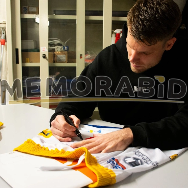 cover of the auction item