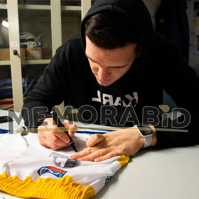 cover of the auction item