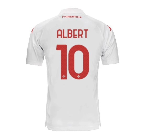 cover of the auction item