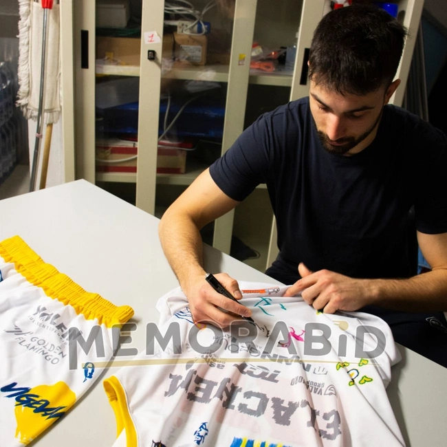 cover of the auction item