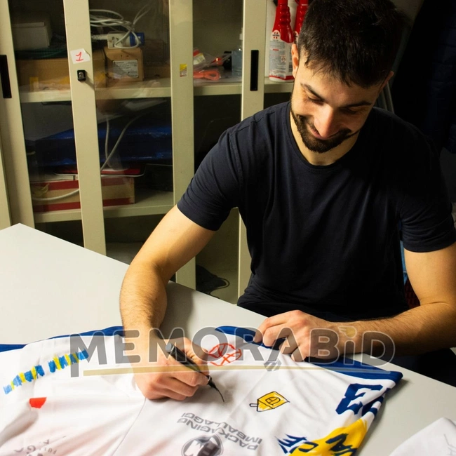 cover of the auction item