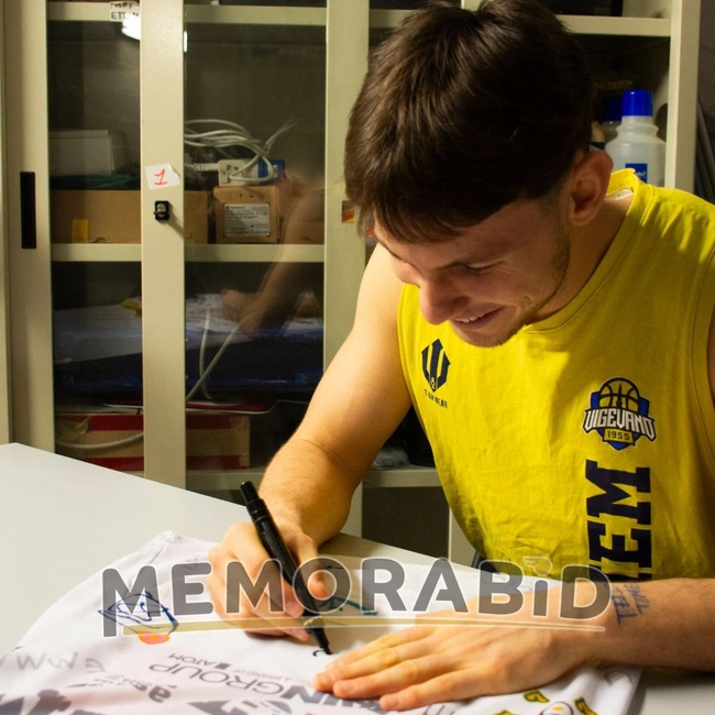 cover of the auction item