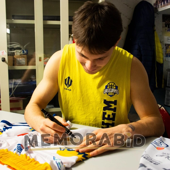 cover of the auction item