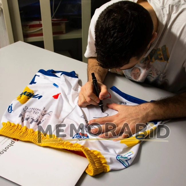 cover of the auction item