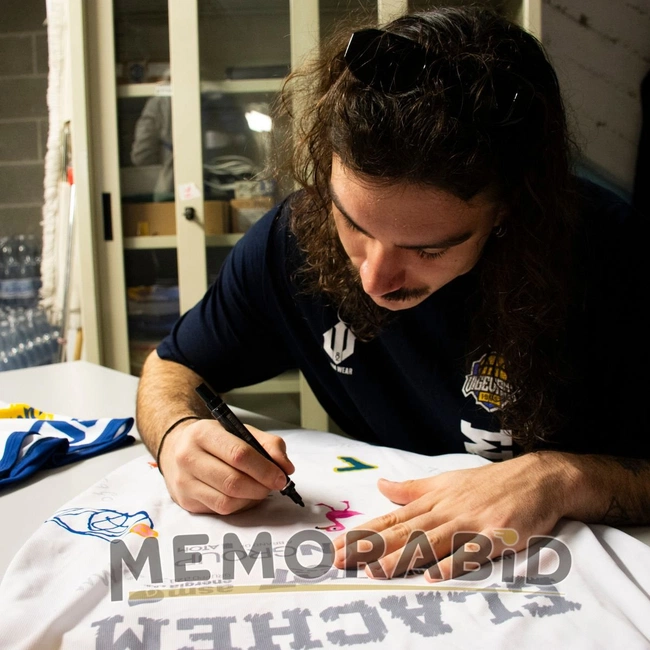 cover of the auction item