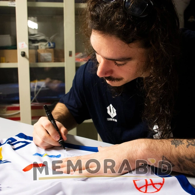 cover of the auction item