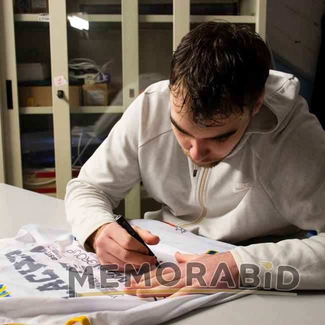 cover of the auction item