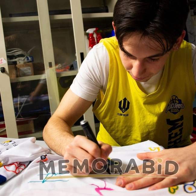 cover of the auction item