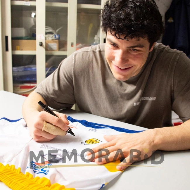 cover of the auction item